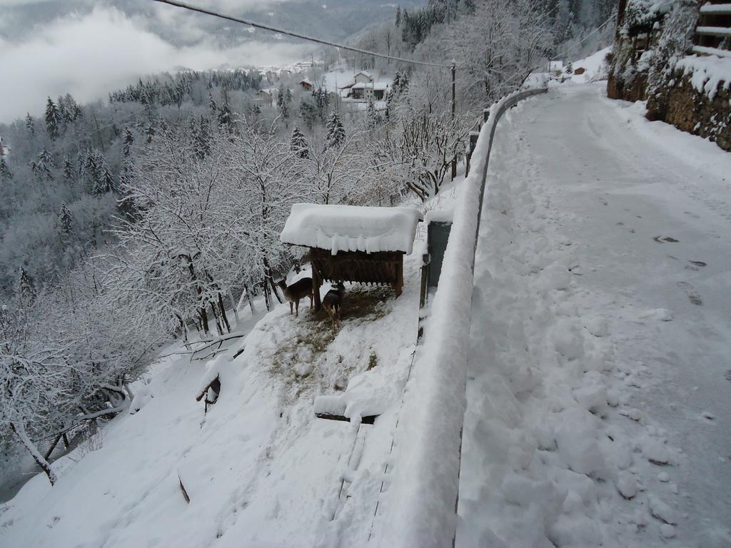 B&B Val Maschi Lamon Dış mekan fotoğraf